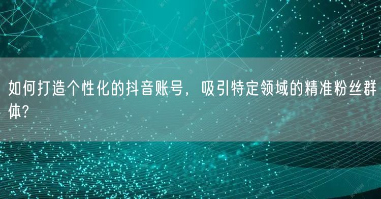 如何打造个性化的抖音账号，吸引特定领域的精准粉丝群体?
