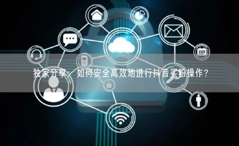独家分享：如何安全高效地进行抖音买粉操作？