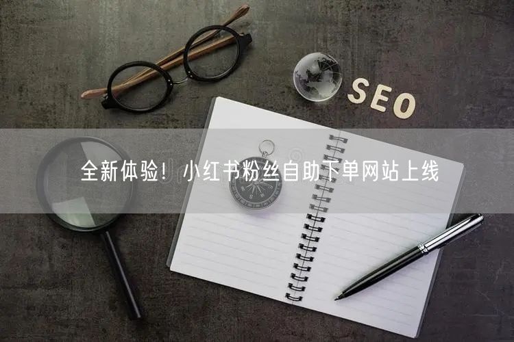全新体验！小红书粉丝自助下单网站上线
