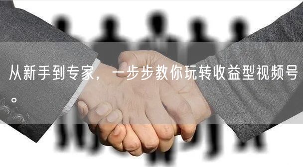 从新手到专家，一步步教你玩转收益型视频号。