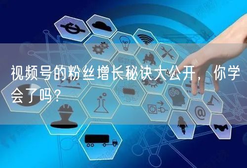 视频号的粉丝增长秘诀大公开，你学会了吗？